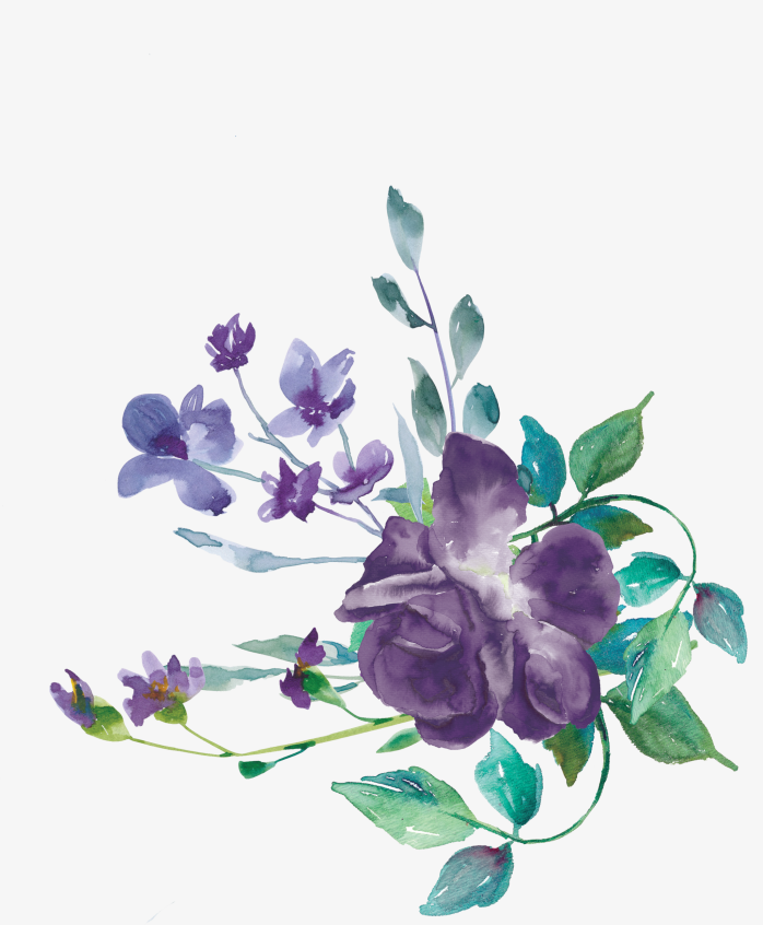 手绘紫玫瑰