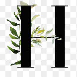 H