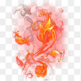 燃烧的花免
