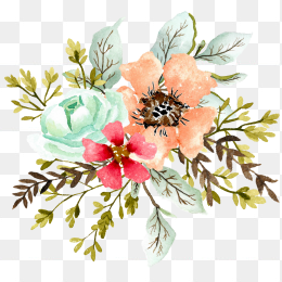 手绘花卉