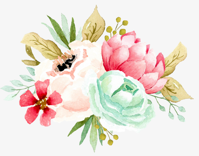 手绘花卉002