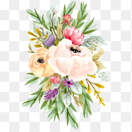 手绘花卉003