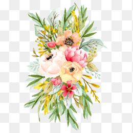 手绘花卉