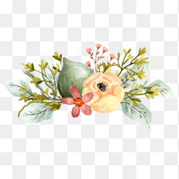 手绘花卉