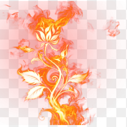 火焰花