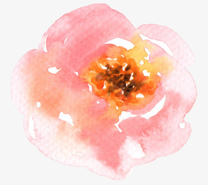 手绘花卉(单朵)002