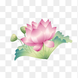 手绘荷花荷叶免扣素材