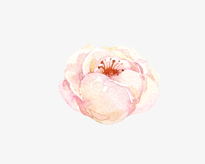 手绘花卉(单朵)011