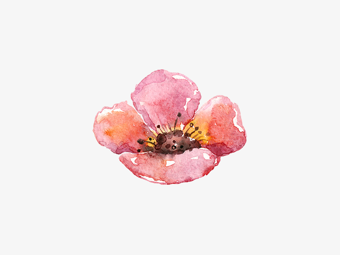 手绘花卉(单朵)013