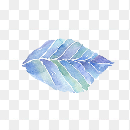 手绘树叶001