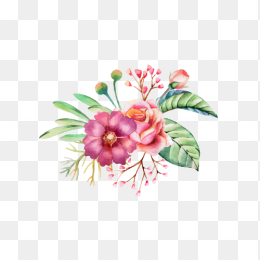 手绘花卉005