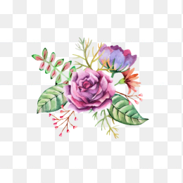 手绘花卉009