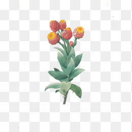 手绘花卉023