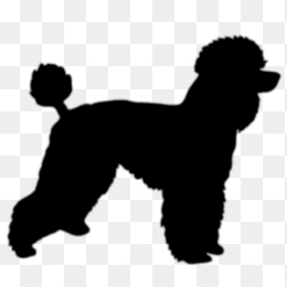 贵宾犬剪影