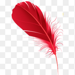 红色水彩羽毛