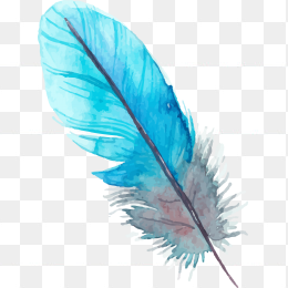 蓝色水彩羽毛