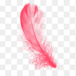 红色唯美羽毛