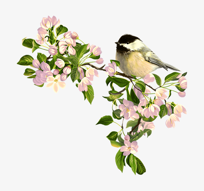 手绘花鸟