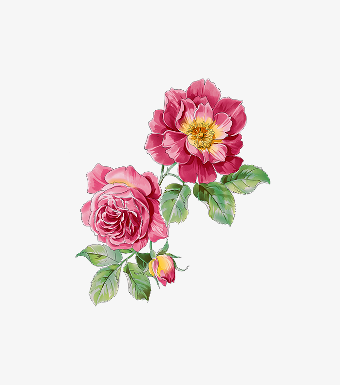 大气手绘花朵