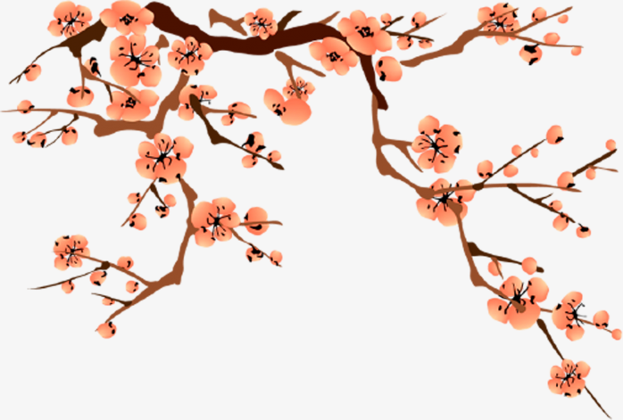 树枝
