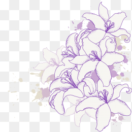 花纹