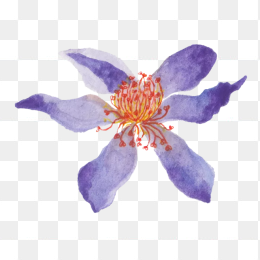紫色水彩花