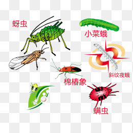 害虫