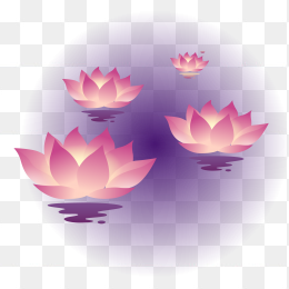 荷花灯