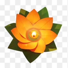 荷花灯