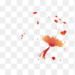 红色花灯