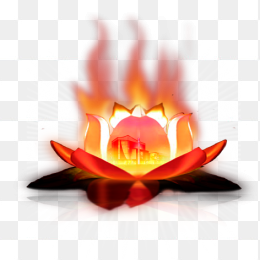 花灯