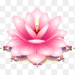 粉色花灯