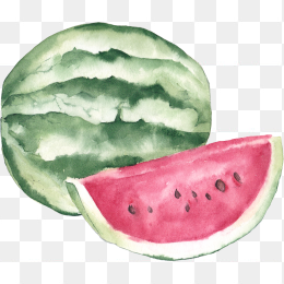 手绘风西瓜