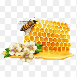 蜂蜜