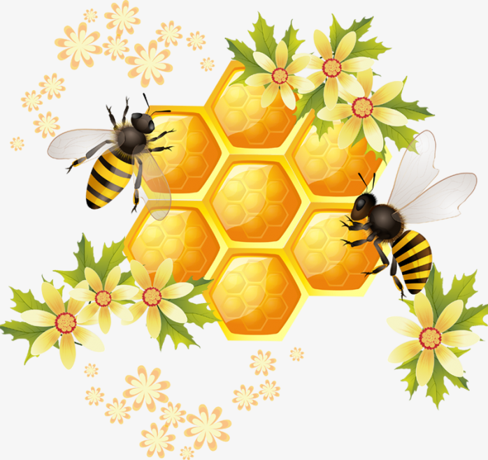 卡通蜜蜂蜂蜜