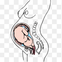 孕妇妈妈怀孕大肚子素材