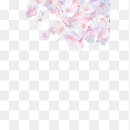 花朵