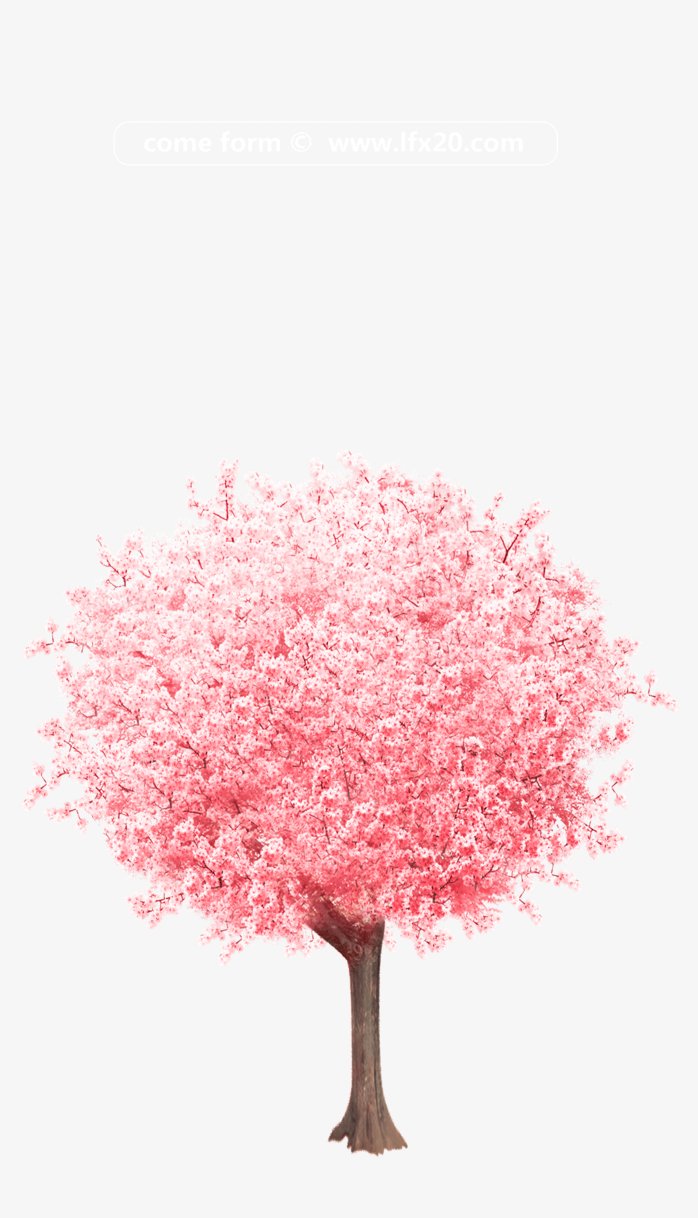 桃树