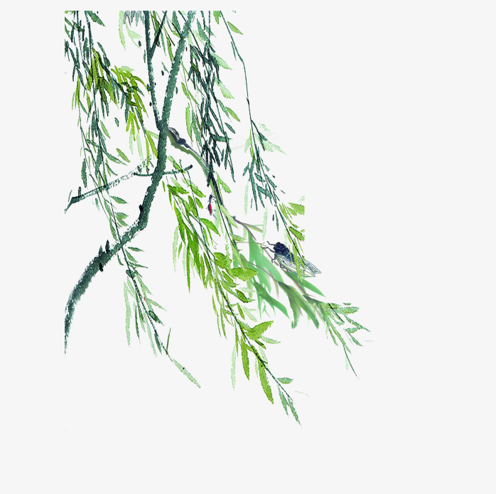 My Image 33
