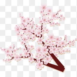 唯美樱花