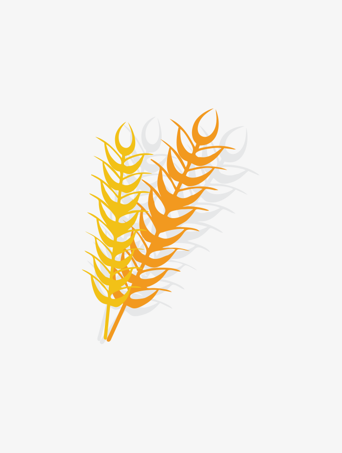 麦穗尖