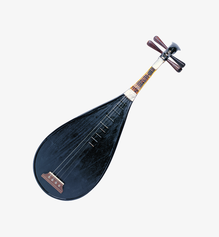中国风琵琶乐器