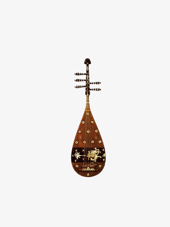 中国风琵琶乐器