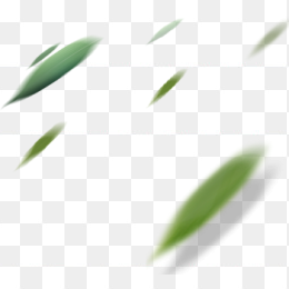 树叶