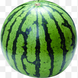 西瓜