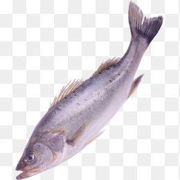 鱼