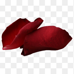 玫瑰花瓣