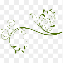欧式花纹