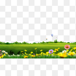 草地