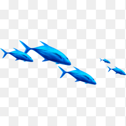 鱼